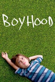 Boyhood (2014) Dual Audio [Hindi-English] BluRay H264 AAC 1080p 720p 480p ESub