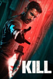 Kill (2024) Hindi AMZN WEB-DL H264 AAC 2160p 1080p 720p 480p ESub