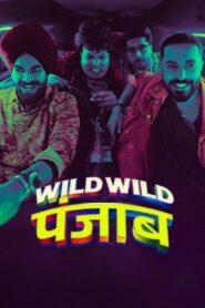 Wild Wild Punjab (2024) Hindi Netflix WEB-DL H264 AAC 1080p 720p 480p ESub