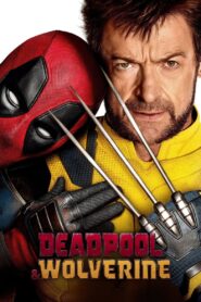 Deadpool & Wolverine (2024) WEB-DL Dual Audio [Hindi (LiNE) & English] 480p [480MB] | 720p [1.2GB] | 1080p [2.7GB]