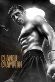 Chandu ChampionChandu Champion (2024) Hindi AMZN WEB-DL DDP.5.1.H265 1080p 720p 480p ESub