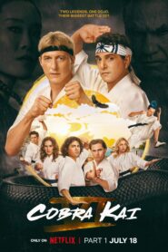 Cobra Kai (2024) Season 6 [Part-1] Dual Audio {Hindi-English} NetFlix-Series 480p | 720p | 1080p WEB-DL