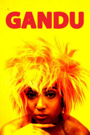 Gandu (2010) Bengali NetFlix WEB-DL H264 AAC 1080p 720p 480p ESub [18+]