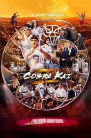 Cobra Kai (2024) Season 6 [Part-1] Dual Audio {Hindi-English} NetFlix-Series 480p | 720p | 1080p WEB-DL