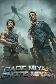 Bade Miyan Chote Miyan (2024) Hindi Netflix WEB-DL H264 AAC 1080p 720p 480p ESub