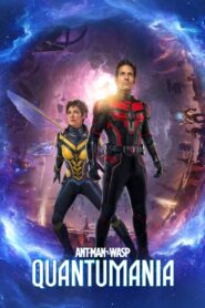 Ant-Man and the Wasp: Quantumania (2023) iMAX – BluRay Dual Audio ORG. {Hindi DD 5.1 – English} 480p [450MB] | 720p [1.5GB] | 1080p [3GB] | 2160p 4K