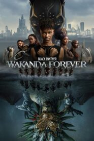 Black Panther: Wakanda Forever (2022) iMAX Dual Audio [Hindi DD5.1 – English] 480p [500MB] | 720p [1.4GB] | 1080p [3GB] | 2160p