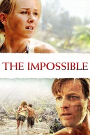 The Impossible (2012) Dual Audio {Hindi-English} 480p [350MB] | 720p [850MB] | 1080p [1.5GB]