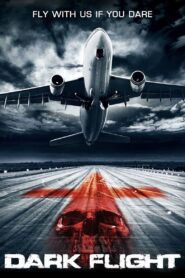 407 Dark Flight (2012) Dual Audio [Hindi + English] WeB-DL 480p [350MB] | 720p [1GB] | 1080p [2.2GB]