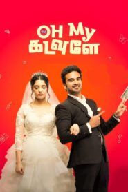 Oh My Kadavule (2020) Dual Audio [Hindi-Tamil] WeB-DL 480p [500MB] | 720p [1.3GB] | 1080p [2.6GB]