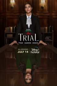 The Trial – Pyaar, Kaanoon, Dhokha (Season 1) Hindi AMZN Complete Web Series 480p | 720p | 1080p WEB-DL