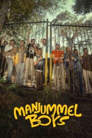 Manjummel Boys (2024) DSNP WEB-DL {Hindi DD5.1} Full Movie 480p [450MB] | 720p [1.4GB] | 1080p [2.5GB]