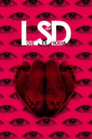 LSD: Love, Sex Aur Dhokha (2010) Hindi Movie WEB-DL 480p [350MB] | 720p [1GB] | 1080p [3.3GB]