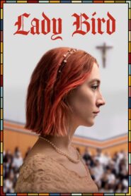 Lady Bird (2017) Dual Audio {Hindi-DD5.1-English} 480p [200MB] | 720p [800MB] | 1080p [1.6GB]