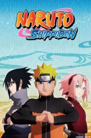 Naruto: Shippuden (2014) (Season 6) Complete Episode Hindi Dubbed (ORG) [MULTi-Audio] Anime Series 720p | 1080p WEB-DL