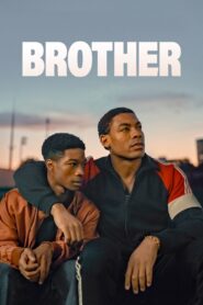 Brothers (2022) WEB-DL Dual Audio {Hindi-Chinese} 480p [300MB] | 720p [790MB] | 1080p [2.4GB]