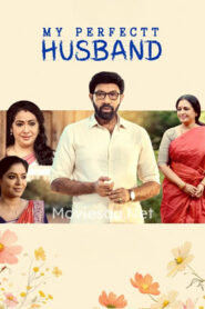 My Perfectt Husband (2024) Hindi Season 1 Complete Hotstar Special WEB Series 480p | 720p | 1080p WEB-DL