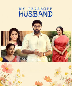 My Perfectt Husband (2024) Hindi Season 1 Complete Hotstar Special WEB Series 480p | 720p | 1080p WEB-DL