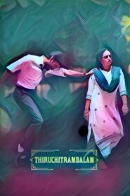 Thiruchitrambalam (2022) Dual Audio {Hindi ORG. + Tamil} AMZN WEB-DL 480p [500MB] | 720p [1.1GB] | 1080p [2.6GB]