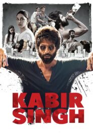 Kabir Singh (2019) Hindi Full Movie 480p [500MB] | 720p [1.3GB] | 1080p [3GB]