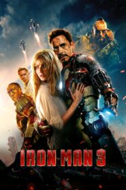 Iron Man 3 (2013) Dual Audio {Hindi-English} 480p [400MB] | 720p [1GB] | 1080p [2.7GB] | 2160p 4K