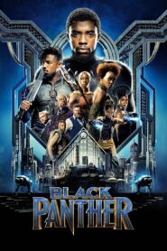 Black Panther (2018) IMAX BluRay Dual Audio {Hindi-English} 480p [400MB] | 720p [1.2GB] | 1080p [3GB] | 2160p 10bit [6.7GB]