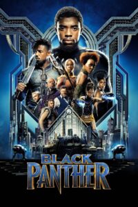 Black Panther (2018) IMAX BluRay Dual Audio {Hindi-English} 480p [400MB] | 720p [1.2GB] | 1080p [3GB] | 2160p 10bit [6.7GB]