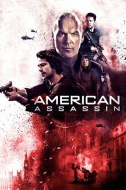 American Assassin (2017) Dual Audio {Hindi-English} 480p [350MB] | 720p [1GB] | 1080p [2GB]