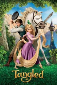 Tangled (2010) Dual Audio {Hindi-English} 480p [300MB] | 720p [900MB] | 1080p [1.9GB]