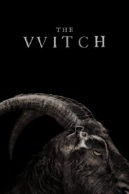 The Witch (2015) BluRay Dual Audio {Hindi-English} 480p [310MB] | 720p [1GB] | 1080p [2.5GB]