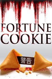 Fortune Cookie (2016) Dual Audio {Hindi-English} 480p [320MB] WEB-DL 720p [1.2GB]