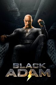 Black Adam (2022) Blu-Ray Dual Audio [Hindi DD5.1-English] 480p | 720p | 1080p | 2160p 4K