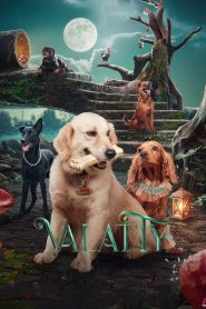 Valatty (2023) WEB-DL Hindi-Dubbed (ORG) Full Movie 480p [400MB] | 720p [1.2GB] | 1080p [2GB]