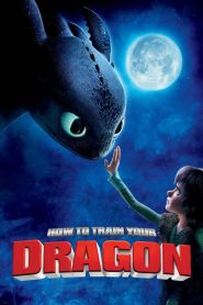 How to Train Your Dragon (2010) Dual Audio {Hindi-English} 480p [350MB] | 720p [1GB] | 1080p [2GB]