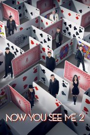 Now You See Me 2 (2016) Dual Audio {Hindi-English} 480p [450MB] | 720p | 1080p [2GB]