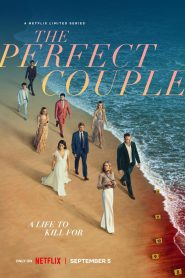 The Perfect Couple (2024) Season 1 Dual Audio {Hindi-English} NetFlix WEB Series 1080p & 720p WEB-DL