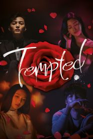 Tempted (Season 1 – Complete) Hindi Dubbed (ORG) Korean Drama Series 480p | 720p | 1080p WEB-DL