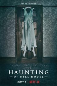 The Haunting of Hill House (2018) Season 1 Dual Audio {Hindi-English} Complete Netflix WEB Series 480p | 720p WEB-DL