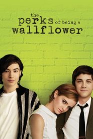 The Perks of Being a Wallflower (2012) BluRay English Full Movie 480p [400MB] | 720p [800MB]