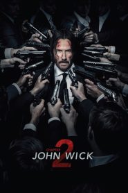 John Wick: Chapter 2 (2017) BluRay Dual Audio {Hindi-English} 480p [400MB] | 720p [1.2GB] | 1080p [2.6GB] | 2160p 4K