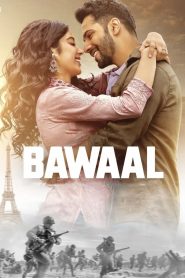 Bawaal (2023) Hindi Full Movie AMZN WEB-DL 480p [350MB] | 720p [1.3GB] | 1080p [2.9GB] | 2160p 4K [14.4GB]