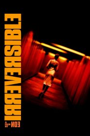 Irreversible (2002) English 720p BluRay