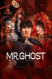 Mr Ghost (2023) Dual Audio {Hindi-Chinese} BluRay 480p [350MB] | 720p [1GB] | 1080p [1.3GB]