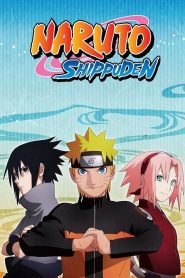 Naruto: Shippuden (Season 8) Complete (Epi-152-175 Added) Hindi Dubbed (ORG) MULTi-Audio Anime Series 720p & 1080p WEB-DL