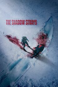 The Shadow Strays | NetFlix Original (2024) WEB-DL Dual Audio {Hindi-English} 480p [400MB] | 720p [1.2GB] | 1080p [2.3GB] | 10Bit HEVC + x264 + H264