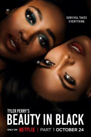 Beauty in Black (2024) Season 1 Complete Dual Audio {Hindi-English} NetFlix Original WEB Series 480p | 720p | 1080p WEB-DL