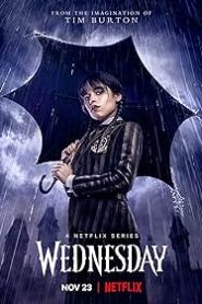 Wednesday (2022) Season 1 Dual Audio {Hindi-English} Netflix Original 480p | 720p | 1080p WEB-DL