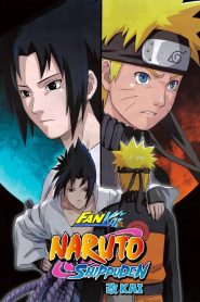 Naruto: Shippuden (Season 10) (Epi-197-220 Added) Hindi Dubbed (ORG) MULTi-Audio Anime Series 720p & 1080p WEB-DL