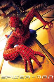 Spider-Man (2002) Dual Audio {Hindi-English} 480p [400MB] | 720p [800MB] | 1080p [4GB] | 2160p 4K