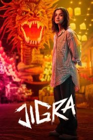 Jigra (2024) Hindi HDTS x264 AAC 1080p 720p 480p Download